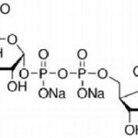 63700-19-6/	 尿苷二磷酸葡糖醛酸,	生物技术级，95%