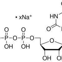 27821-45-0/	 5-尿苷二磷酸二钠盐,	超纯，98%