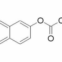 1523-11-1/	 乙酸-β-萘酯,	98%