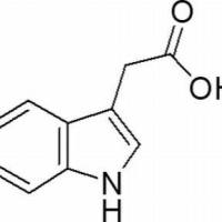 830-96-6/ 3-吲哚丙, BR,99%