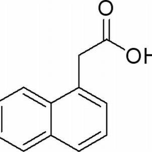 86-87-3/ α-萘乙酸,BR，98%