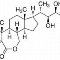 80483-89-2/28-表高油菜素内酯 ,生物技术级，90%