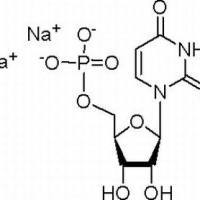 3387-36-8/ 5-尿苷一磷酸二钠盐 , 超纯,98%