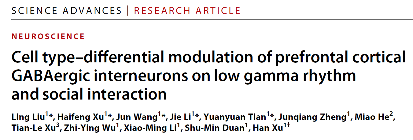 【客户文章】浙江大学医学院/附属第二医院徐晗教授团队在前额叶皮层调控社交行为的抑制性神经元和网络活动机制研究取得新进展