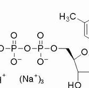 18423-43-3/	 2′-脱氧胸苷-5′-三磷酸三钠盐 ,	超纯，98%