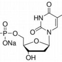 33430-62-5/2′-脱氧胸苷-5′-单磷酸二钠盐,	高纯，98%