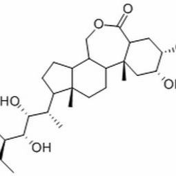 78821-43-9/	 24-表油菜素内酯 ,	高纯，92%