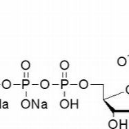 102783-51-7/ 2′-脱氧胞苷-5′-三磷酸二钠盐 ,超纯，98%