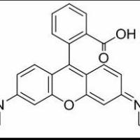 81-88-9/ 罗丹明B , 分析标准品,HPLC≥98%