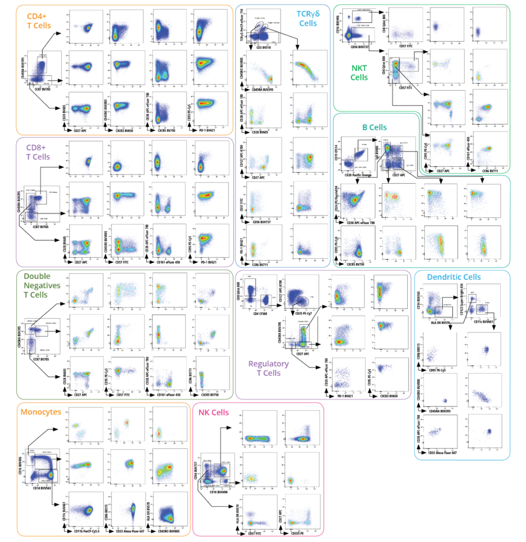 Cytek多色方案一饱眼福—下篇（三至五激光篇）