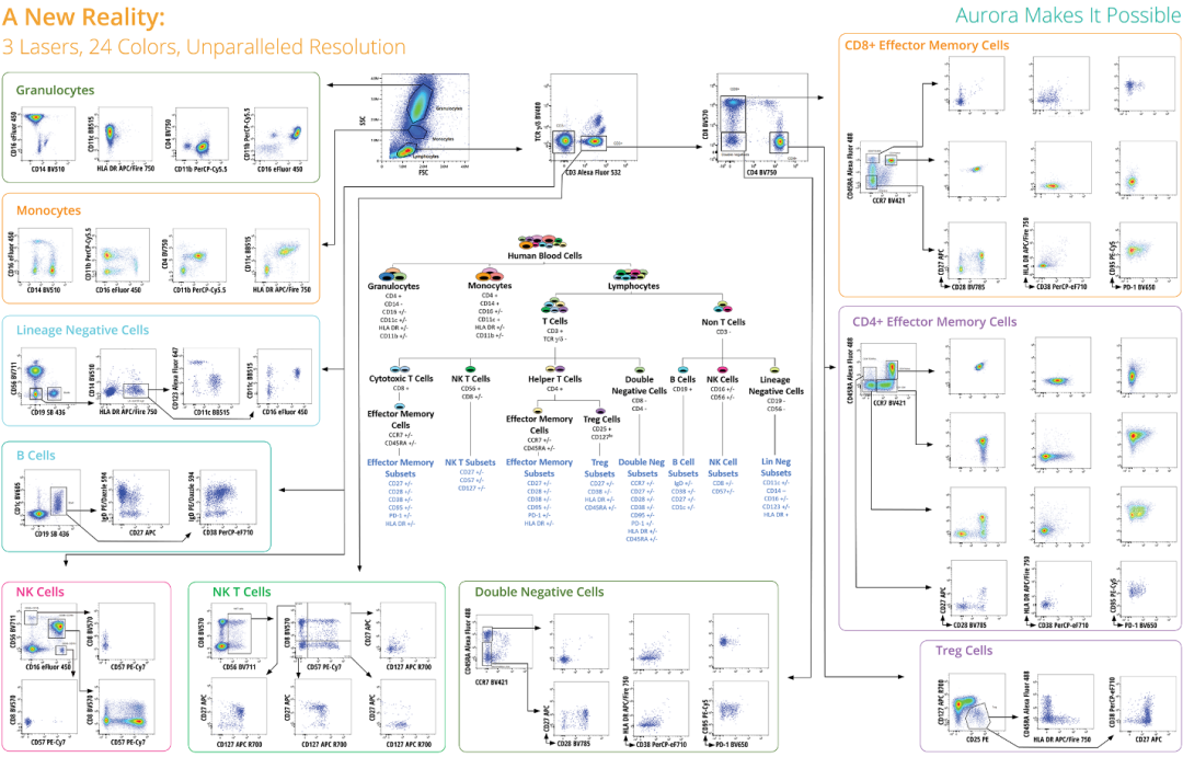 Cytek多色方案一饱眼福—下篇（三至五激光篇）