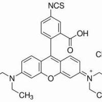 36877-69-7/ 异硫酸玫瑰红B ,偶联级,70%(标记率)