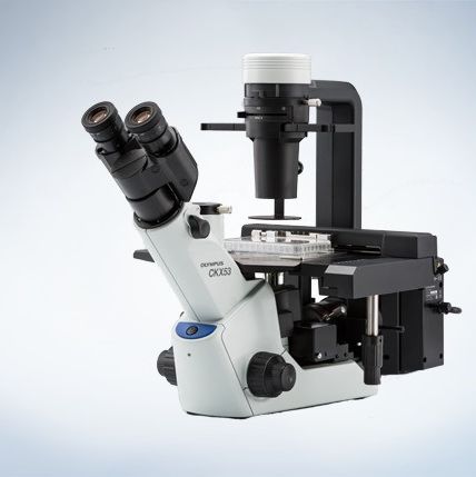 CKX53 倒置显微镜