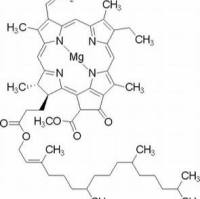 479-61-8/ 叶绿素A, BR,85%