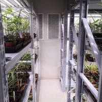湖北生长室 植物植物生长室实验室设计规划项目建设