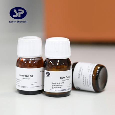  甲基丙烯酸化明胶（Gelma） 冻干粉