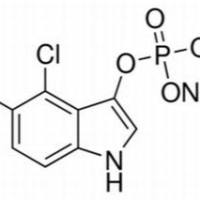 102185-33-1/	 对甲苯兰钠盐 ,超纯，98%