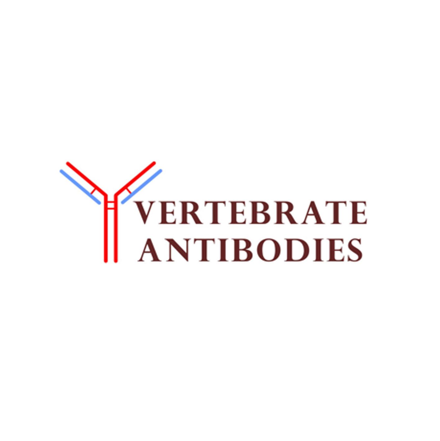 Vertebrate Antibodies  生物体内靶标的抗体