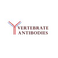 Vertebrate Antibodies  生物体内靶标的抗体