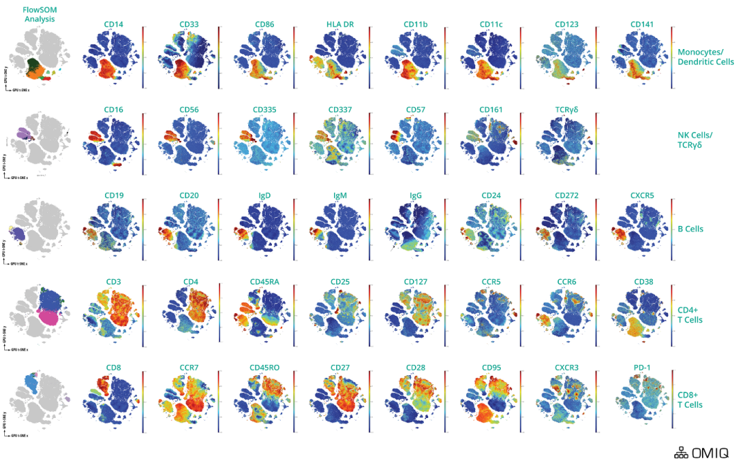Cytek多色方案一饱眼福—下篇（三至五激光篇）
