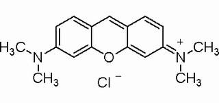 92-32-0. 派洛宁Y,Dye content≥50%
