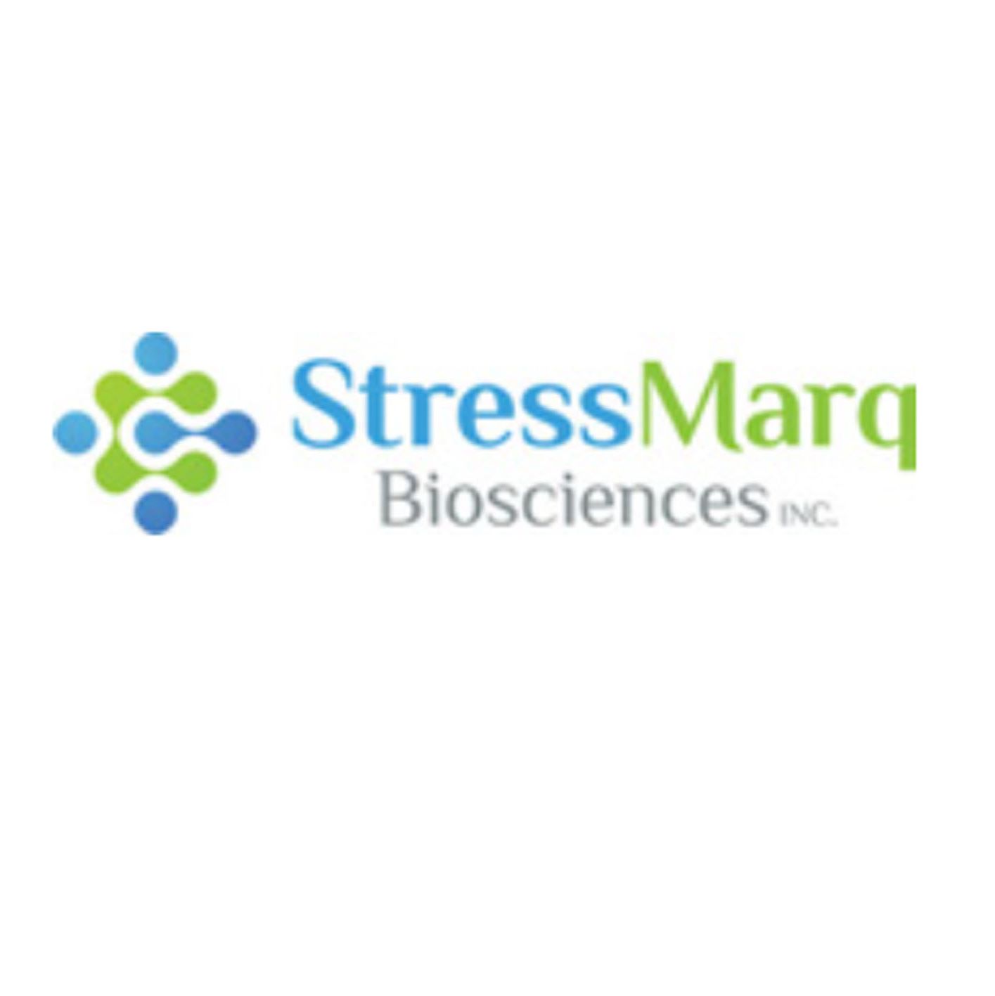 StressMarq α B晶体蛋白ELISA试剂盒
