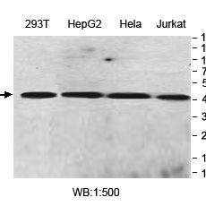 产品封面图