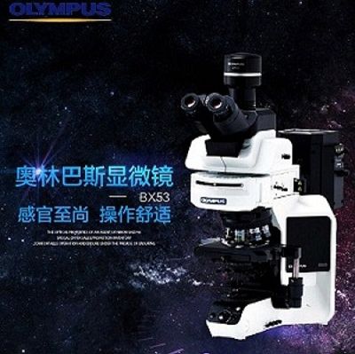 BX53 生物显微镜
