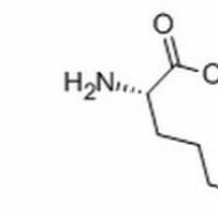 84772-29-2/	 L-鸟氨酸乙酯盐酸盐,BR，98%