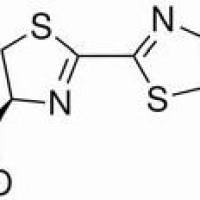 103404-75-7/	 D-虫荧光素钠 ,	高纯，99%