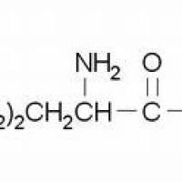 7274-88-6/ D-赖氨酸盐酸盐,BR,99%