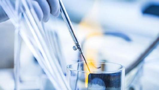 92-48-86-甲基香豆素