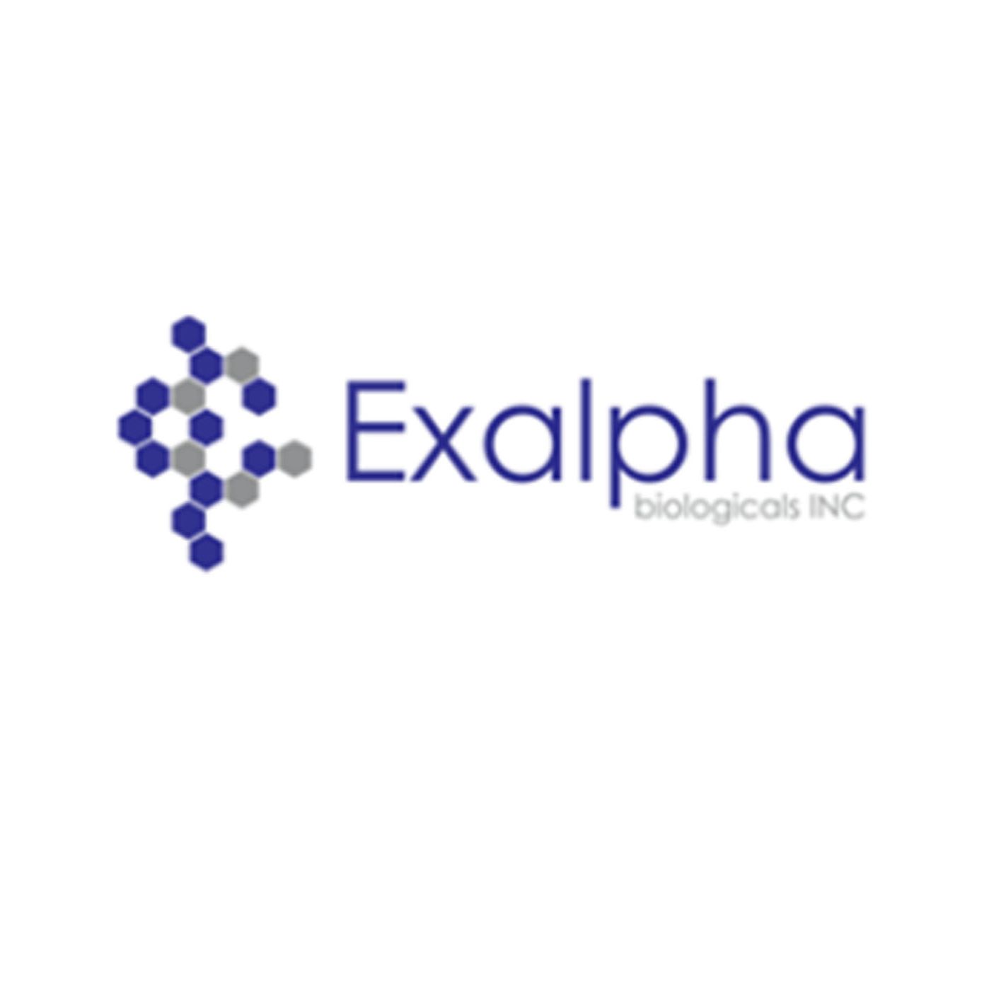 Exalpha  凋亡增殖、炎症、免疫学传染病学 和细胞间结构研究