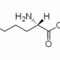 1119-34-2/	 L-精氨酸盐酸盐 ,	BR，99%