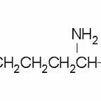 70-54-2/ DL-赖氨酸 ,BR，99%