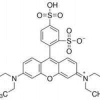 2609-88-3/	 磺酰罗丹明B ,激光级，95%