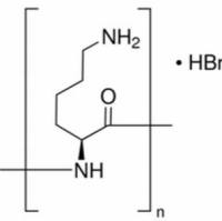 25988-63-0/ 多聚左旋赖氨酸,分子量2万