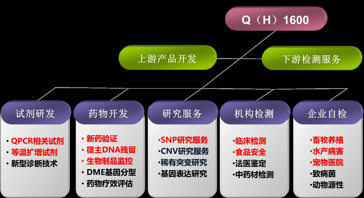 新品上市|柏恒科技H1600等温扩增荧光检测系统
