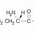 56-85-9/ L-谷氨酰胺 ,BR,99%