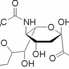 131-48-6/ N-乙酰-神经氨酸,BR，98%