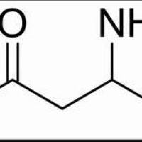 541-48-0/	 3-氨基丁酸 ,BR，98%