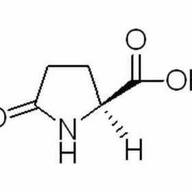 98-79-3/L-焦谷氨酸 .BR，99%