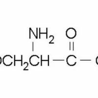 302-84-1/	 DL-丝氨酸,	BR，99%