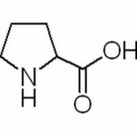 609-36-9/	 DL-脯氨酸 ,BR，99%