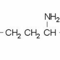 1012-05-1/ DL-高苯丙氨酸, BR,98%