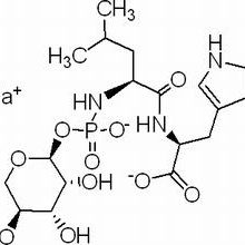 36357-77-4/ 磷酰二肽,Ultra pure