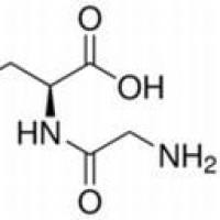 13115-71-4/	 L-甘-谷二肽,	BR，99%