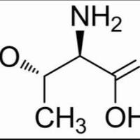80-68-2/	 DL-苏氨酸 ,	BR，99%
