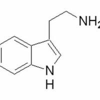 61-54-1/ 色胺, BR,98%
