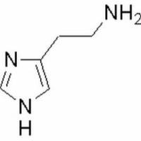 51-45-6/ 组胺 , BR,98%